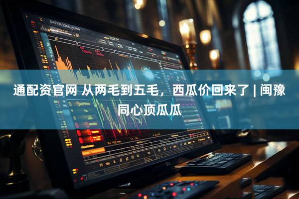 通配资官网 从两毛到五毛，西瓜价回来了 | 闽豫同心顶瓜瓜